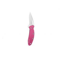 Kershaw 1600PINK Chive Assisted Blade